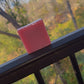Yoni Soap